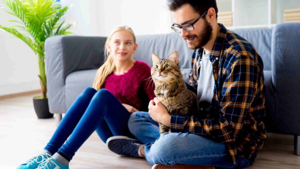 Cómo deshacerse de la caspa de gato en una casa nueva: ¡10 formas simples!