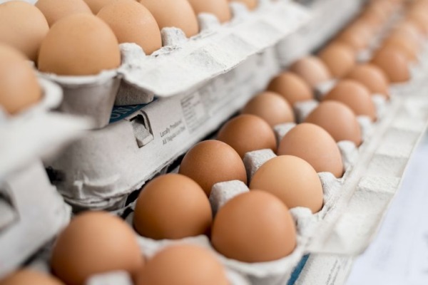 ¿Los cartones de huevos absorben el sonido?